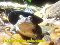 /home//u458753944/public_html/sourcegallery/////////////////////////McKaig Nature Center/2024-09-27/P9271574.JPG